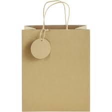 Kraft Gift Bag with Handles and Gift Tag