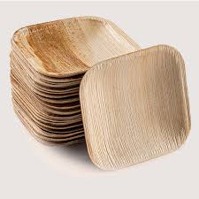 Square Palm 4" Leaf Plates 25ct