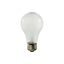 100 Watt Incadescent Light Bulb