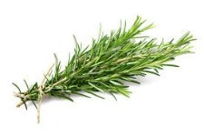 Fresh Rosemary 0.75oz