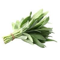 Fresh Sage 0.75oz