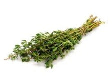 Fresh Thyme 0.75oz